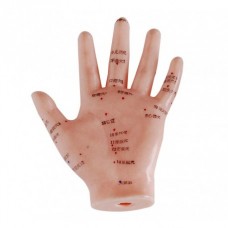 Model Acupunture Hand