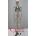 Skeleton